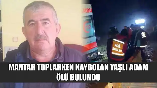 Mantar toplarken kaybolan yaşlı adam ölü bulundu