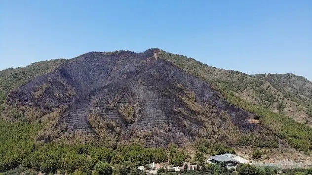 Marmaris'te yanan ormanlık alan havadan görüntülendi