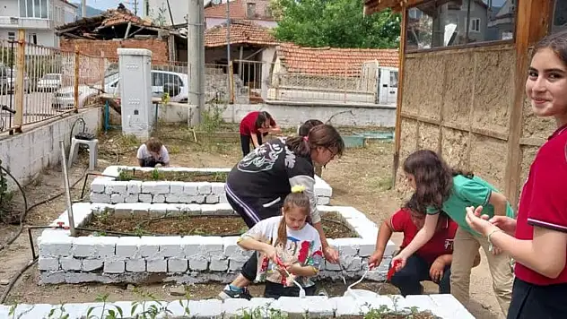 Mavi-Yeşil Okullar projesi gerçekleştirildi