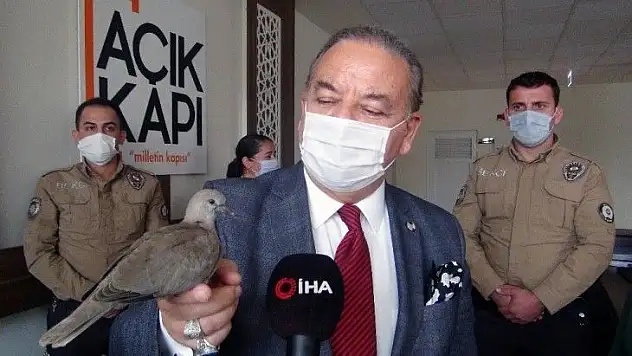 Menteşe Kaymakamlığının 'Paşa'sı