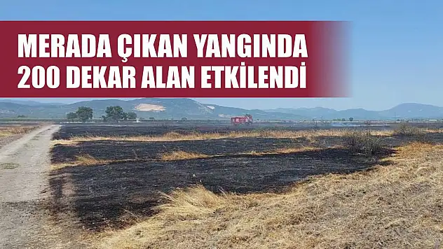 Merada çıkan yangında 200 dekar alan etkilendi