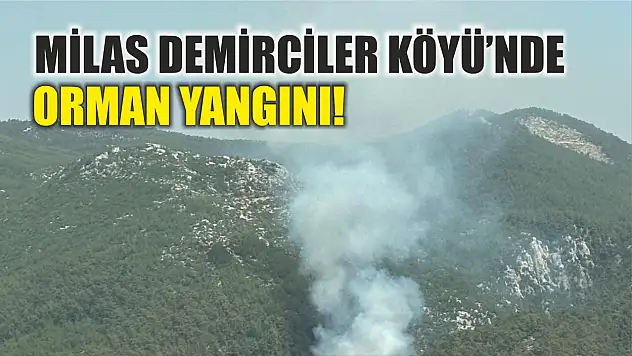 Milas Demirciler Köyü'nde orman yangını!