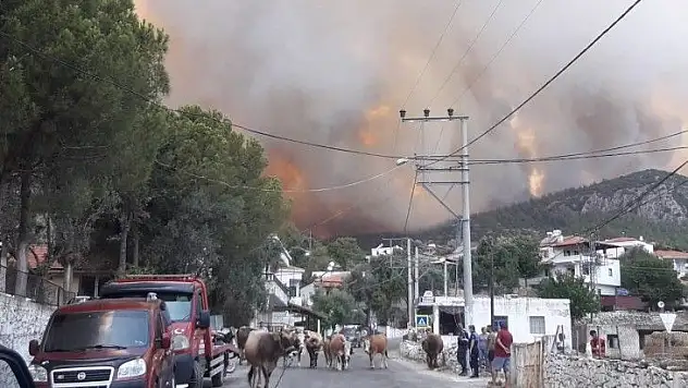 Milas'ta alevler yerleşim bölgesine ulaştı, Gökbel köyü boşaltıldı