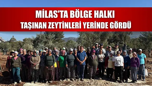 Milas'ta bölge halkı taşınan zeytinleri yerinde gördü