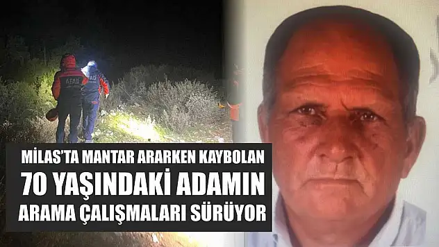 Milas'ta mantar ararken kaybolan 70 yaşındaki adamın arama çalışmaları sürüyor