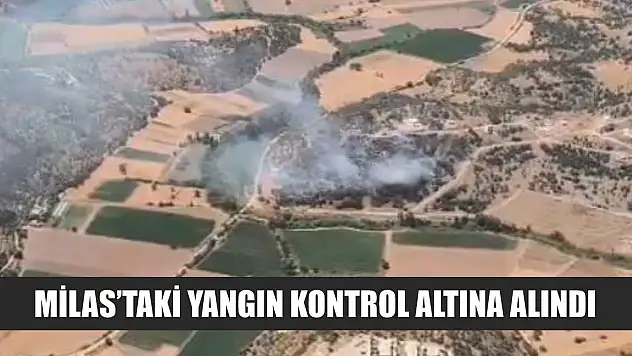 Milas'taki yangın kontrol altına alındı