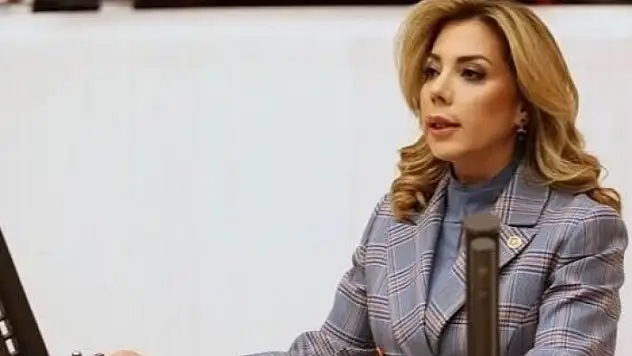 MİLLETVEKİLİ GÖKCAN'DAN KINAMA