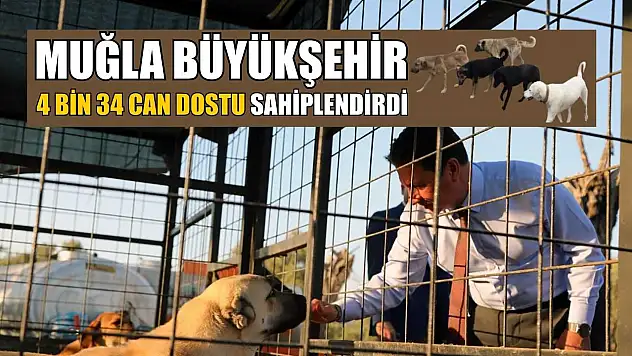 Muğla Büyükşehir 4 bin 34 can dostu sahiplendirdi