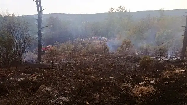 Muğla'da 'Yıldırım' yangınları başladı