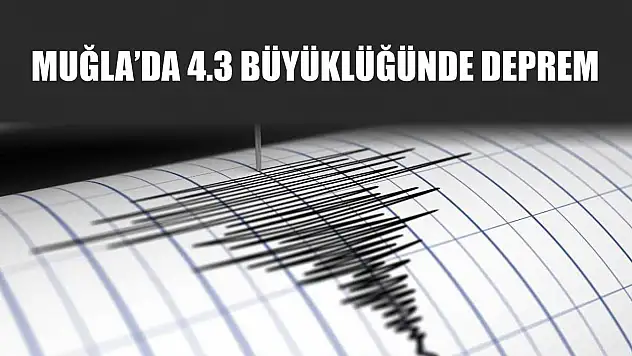 Muğla'da 4.3 büyüklüğünde deprem