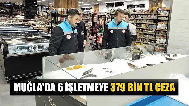 Muğla'da 6 işletmeye 379 bin TL ceza