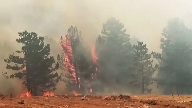 Muğla'da dört ilçede yangınlar devam ediyor