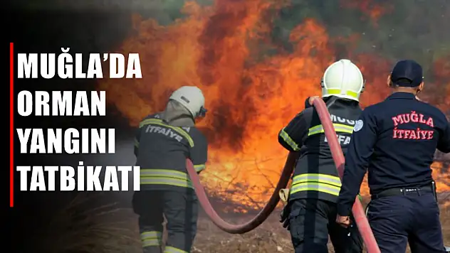 Muğla'da orman yangını tatbikatı