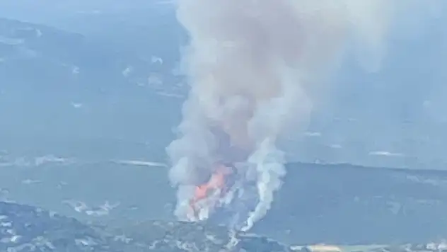 Muğla'da orman yangını