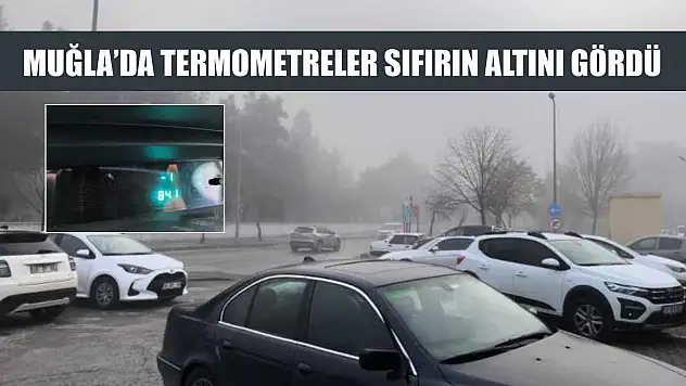 Muğla'da termometreler sıfırın altını gördü