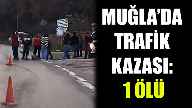 Muğla'da trafik kazası: 1 ölü