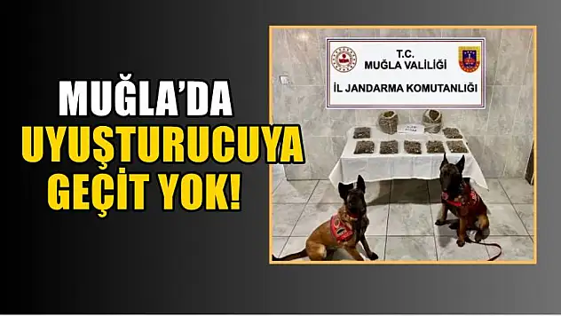 Muğla'da uyuşturucuya geçit yok!
