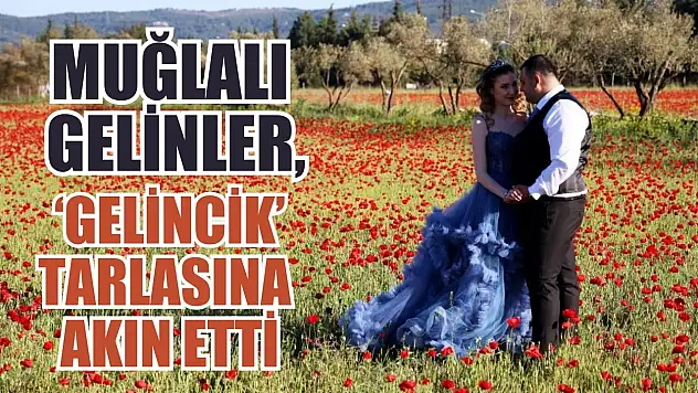 Muğlalı gelinler, 'Gelincik' tarlasına akın etti