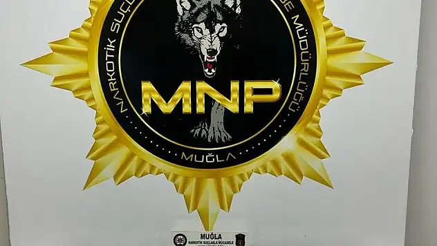 Operasyonda 2 tutuklama