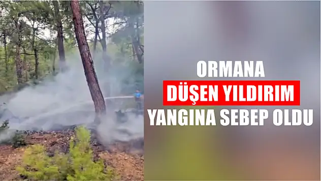 Ormana düşen yıldırım yangına sebep oldu