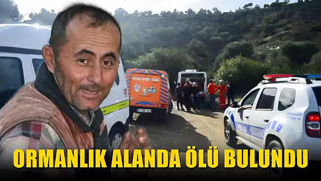 Ormanlık alanda ölü bulundu