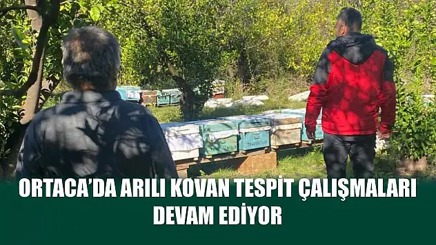 Ortaca'da Arılı Kovan Tespit Çalışmaları Devam Ediyor