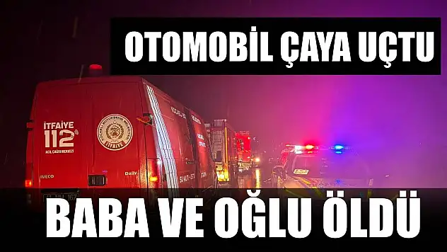 Otomobil çaya uçtu: Baba ve oğlu öldü