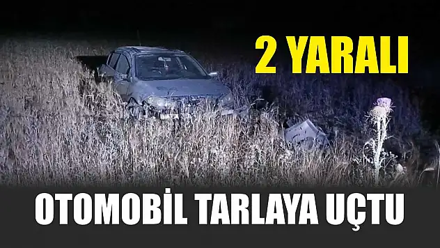 Otomobil tarlaya uçtu: 2 yaralı