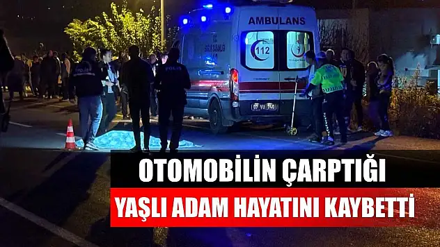 Otomobilin çarptığı yaşlı adam hayatını kaybetti