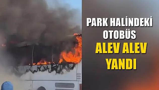 Park halindeki otobüs alev alev yandı