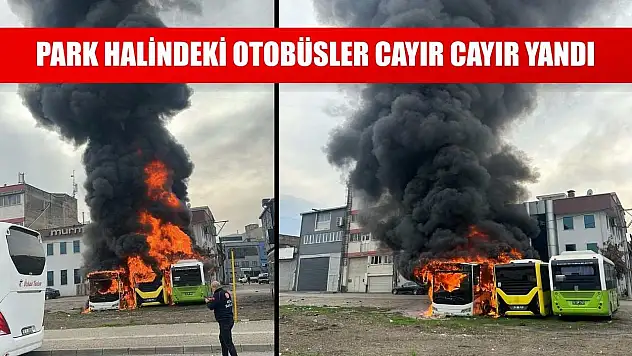 Park halindeki otobüsler cayır cayır yandı