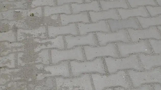 Parke çalışmaları tamamlandı