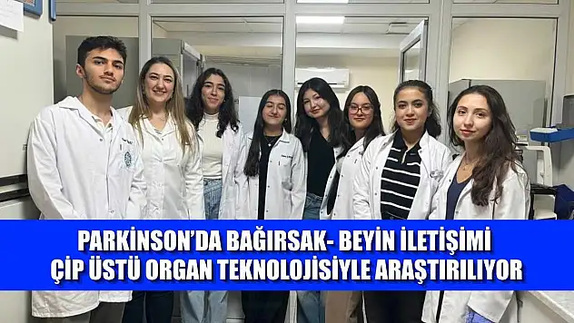 Parkinson'da bağırsak- beyin iletişimi çip üstü organ teknolojisiyle araştırılıyor