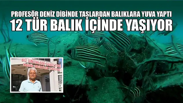 Profesör deniz dibinde taşlardan balıklara yuva yaptı: 12 tür balık içinde yaşıyor