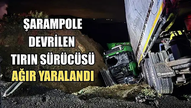 Şarampole devrilen tırın sürücüsü ağır yaralandı