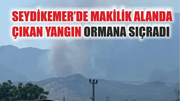 Seydikemer'de Makilik Alanda Çıkan Yangın Ormana Sıçradı
