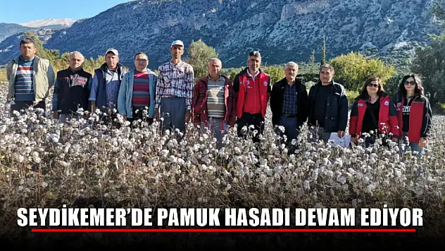 Seydikemer'de Pamuk Hasadı Devam Ediyor