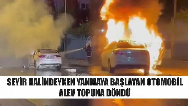 Seyir halindeyken yanmaya başlayan otomobil alev topuna döndü
