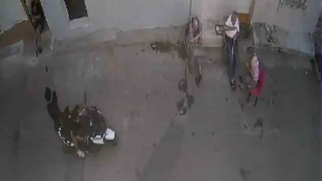 Sokak Ortasında Silahlı Saldırı Kamerada