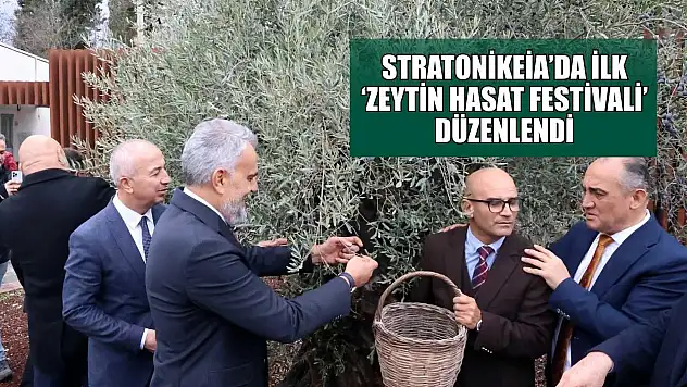 Stratonikeia'da ilk 'Zeytin Hasat Festivali' düzenlendi