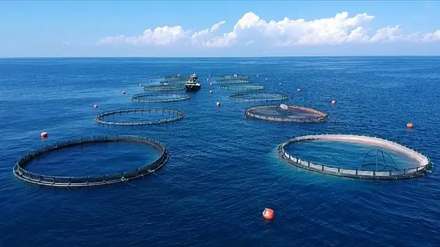 Su ürünleri ihracatından 1,7 milyar dolar gelir elde edildi