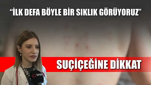 Suçiçeğine dikkat : 'İlk defa böyle bir sıklık görüyoruz'