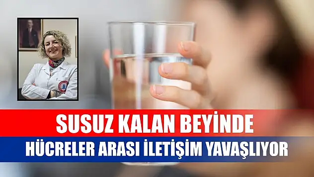 Susuz kalan beyinde hücreler arası iletişim yavaşlıyor