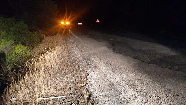 Suya gömülmekten son anda kurtuldular