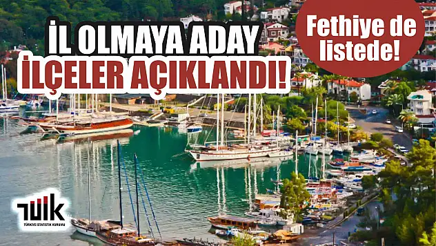 TÜİK, İl olmaya aday İlçeleri açıkladı! Fethiye de listede!