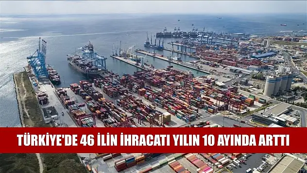 Türkiye'de 46 ilin ihracatı yılın 10 ayında arttı
