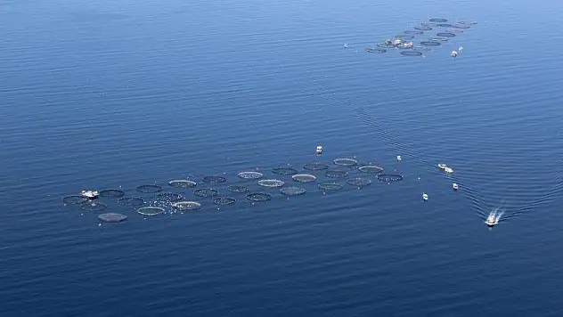 Türkiye'den 100 ülkeye ihraç yapılıyor