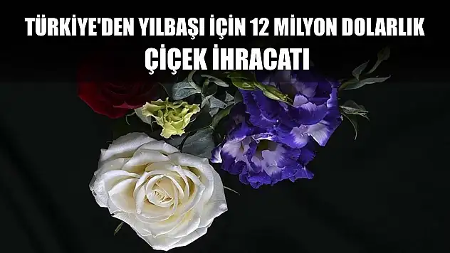 Türkiye'den yılbaşı için 12 milyon dolarlık çiçek ihracatı