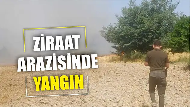 Ula'da ziraat arazisinde yangın