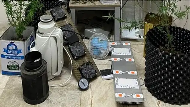 UYUŞTURUCU OPERASYONU: 5 TUTUKLAMA